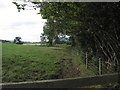 Fence and hedge near Penllyn