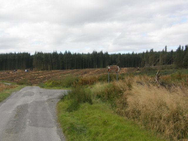 Ongoing forestry operation