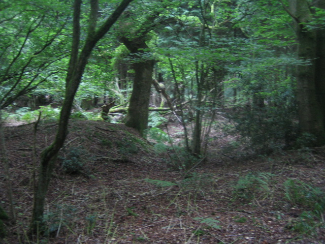 Grim's Ditch, Stockton Wood near... © Andy Gryce :: Geograph Britain ...