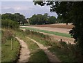 Bridleway near Bloxworth