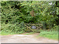 Gate into private woodland