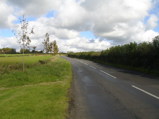 Ballyeaston Road