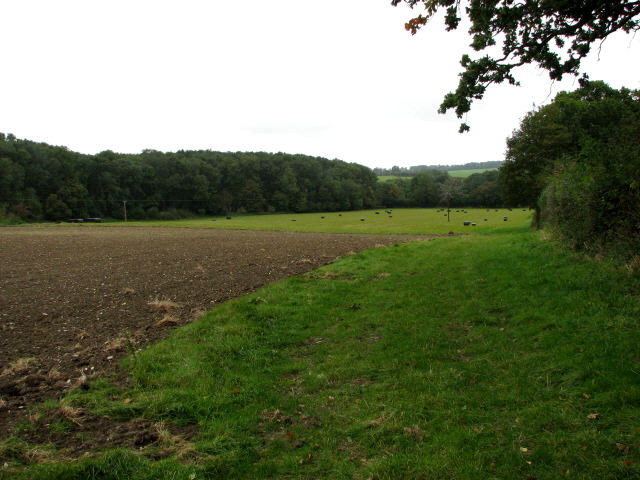 View north from Stewks Hall Drift