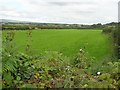 Dernagh Townland