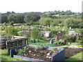 Daggs Allotments, Thornbury