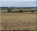 SP7696 : Leicestershire farmland by Mat Fascione