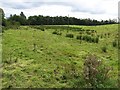 Ballyheifer Townland