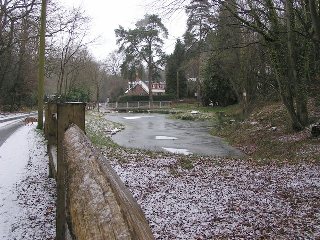 Fullers Vale Pond