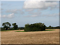 View northwest across stubble