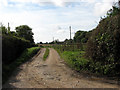 Track past a horse pasture