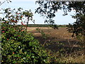 View north across farmland