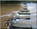 Stepping Stones, Egton