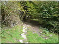 Footpath - View towards Cripton Lane