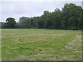 Grassland south of Yarmouth Road