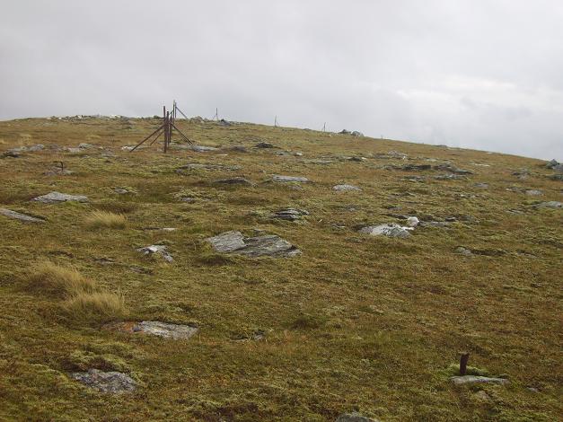 Fenceposts on the ridge near Beinn nan Oighreag