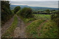 Track to Pen-y-lan