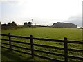 Paddock near Stonehouse