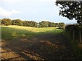 Pasture and Woodland