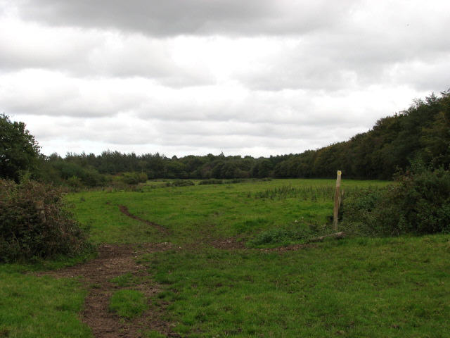 Footpath to Little Wood (2)