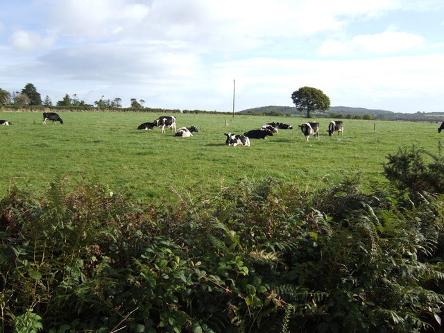 Dairy land, Co. Wexford © Jonathan Billinger cc-by-sa/2.0 :: Geograph ...