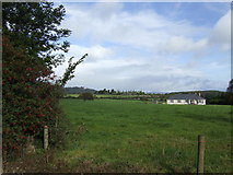 S8523 : Wexford countryside by Jonathan Billinger