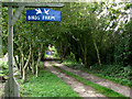 Driveway to Birds Farm and Camping Site