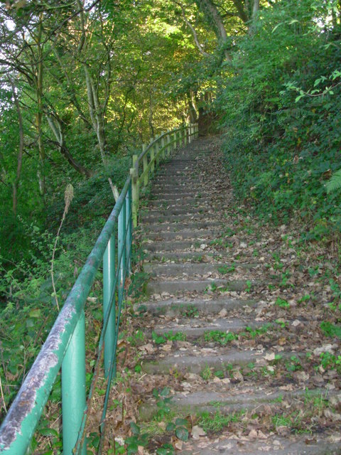 The Yearl steps