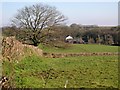 Looking towards Old Treworgey