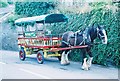 Polperro: the Horse Bus