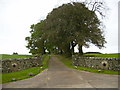 Driveway entrance to Milton