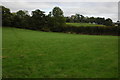 Farmland to the west of Longtown