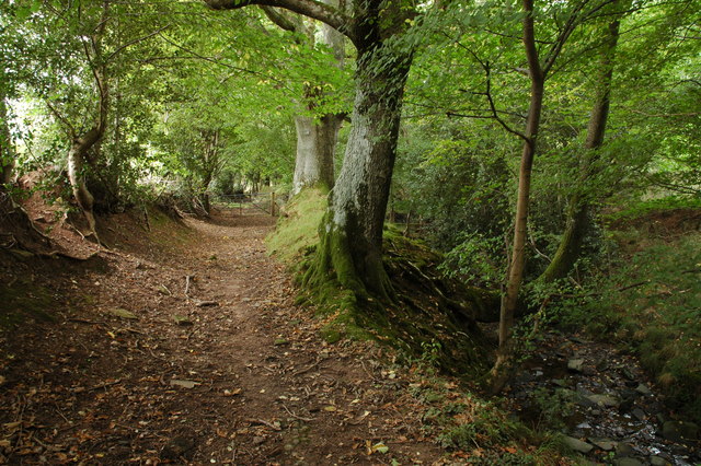 Footpath below Brook Farm, Longtown © Philip Halling :: Geograph ...