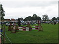 Showjumping at the 2007 Mid-Somerset Show