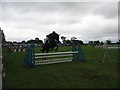 Showjumping at the 2007 Mid-Somerset Show