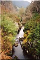 River Severn below Severn-Break-its-Neck Falls