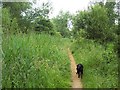 Lye Valley Nature Reserve