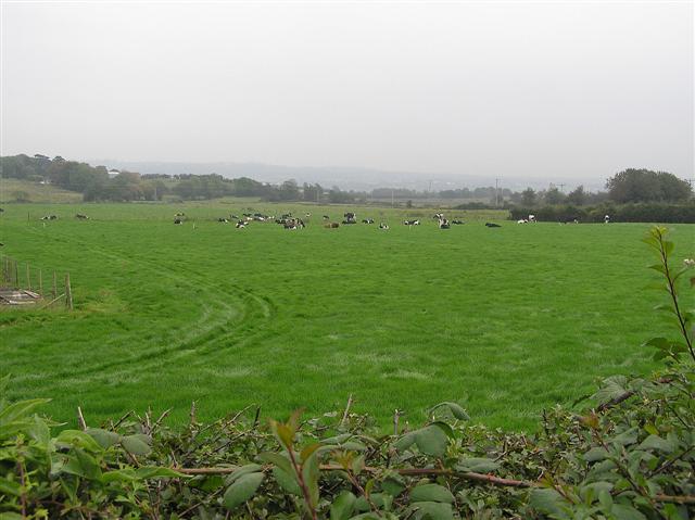 Ballymacombes More Townland