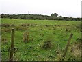 Curraghbrock Townland