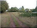 Farm track at Bont Newydd