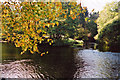 SN9584 : Junction of River Severn with Afon Clywedog by Graham Horn