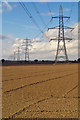 TA1612 : Pylons Near Roxton Farm by David Wright