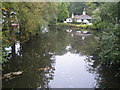 Basingstoke Canal near Frimley Green