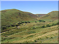 The Meikledale Burn from Stibbiegill Knowe