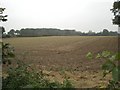 North across arable land near Guist Bottom