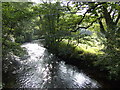 River Fowey - downstream