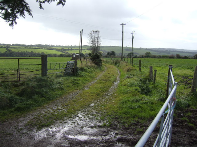 Track at Bunaglanna, Co. Cork