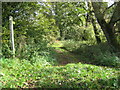 Footpath towards Old Springs Farm