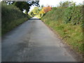 Wood Lane at Marchamley Wood