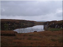 G7595 : Tully Bog by Dr Brian Lynch