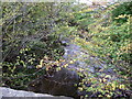 Looking upstream Culter Burn